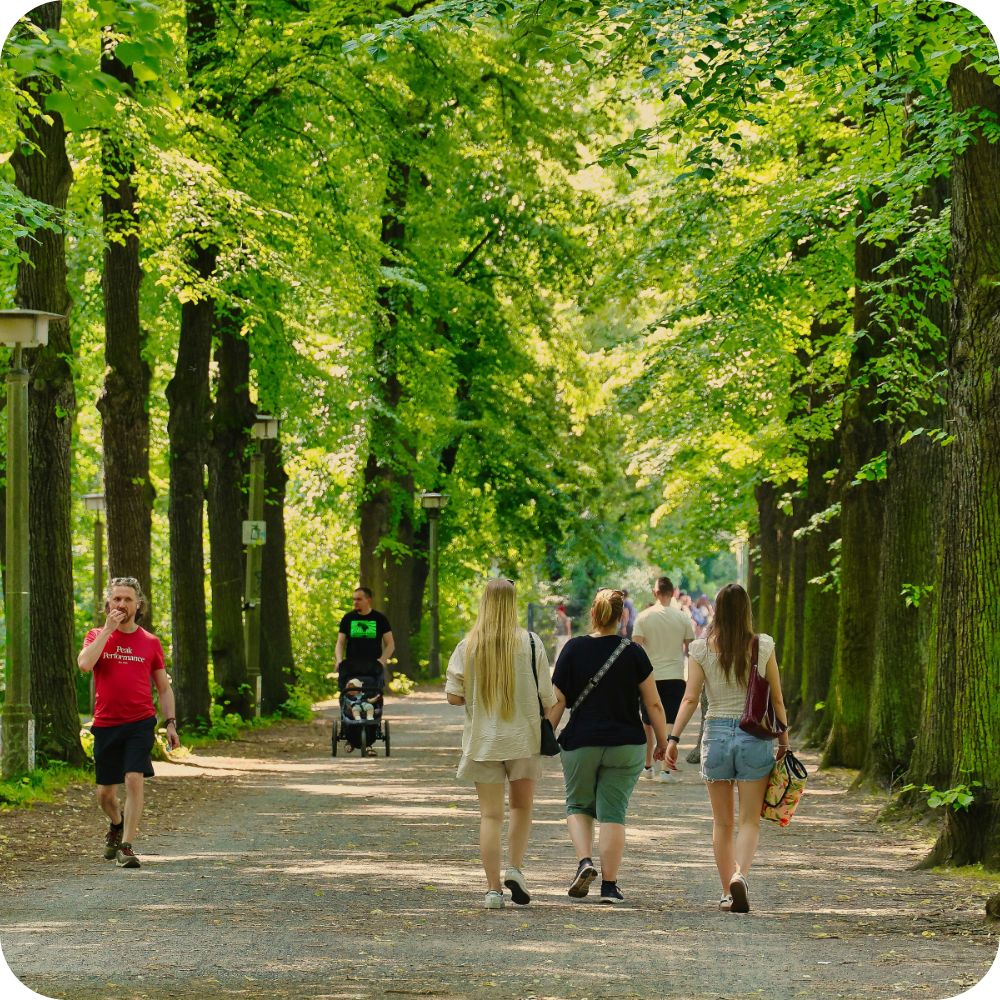 De kracht van een lunchwandeling: meer energie in je middag