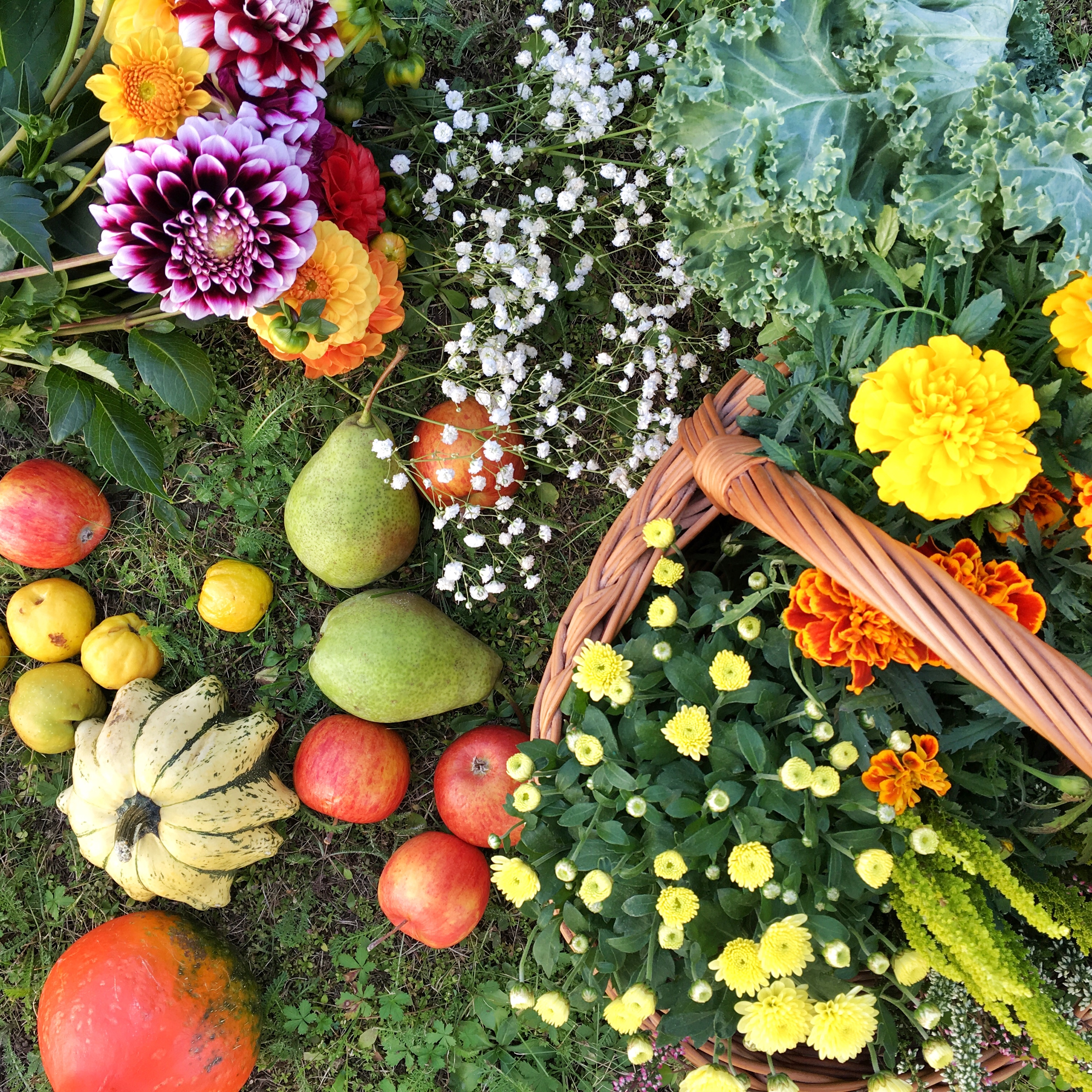 Seizoensgroenten en fruit voor in de lente